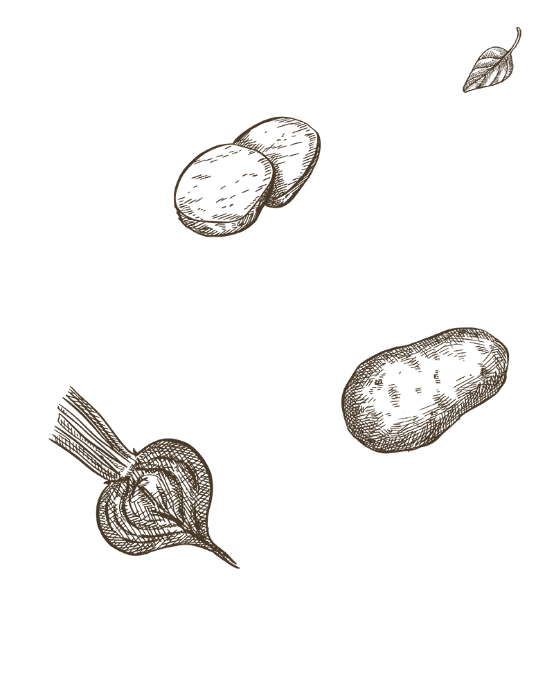 Ilustracija povrća